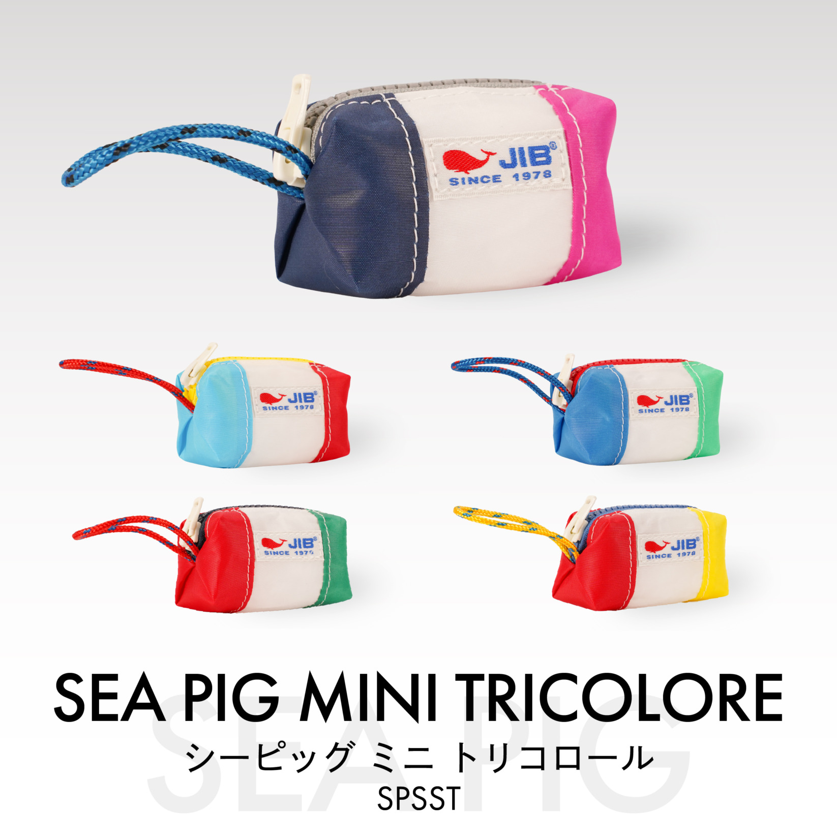 シーピッグミニ・トリコロール